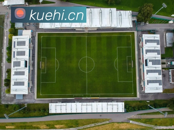 多媒体互动体验